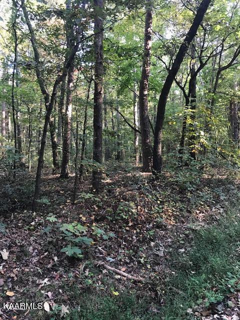Lot 10 Mountain View Road Benton, TN 37307 - Photo 6 of 8 lot 10 mtn view 4