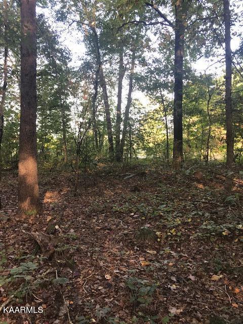 Lot 10 Mountain View Road Benton, TN 37307 - Photo 7 of 8 lot 10 mtn view 3