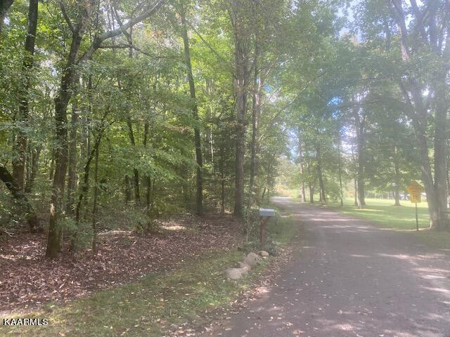 Lot 10 Mountain View Road Benton, TN 37307 - Photo 8 of 8 Lot 10 mtn view 2