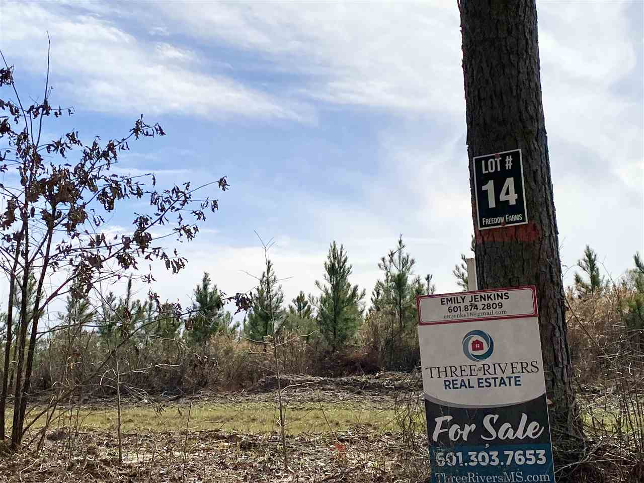 640 Stull Road, Unit 14 Brandon, MS 39047 - Photo 3 of 4 Photo 3