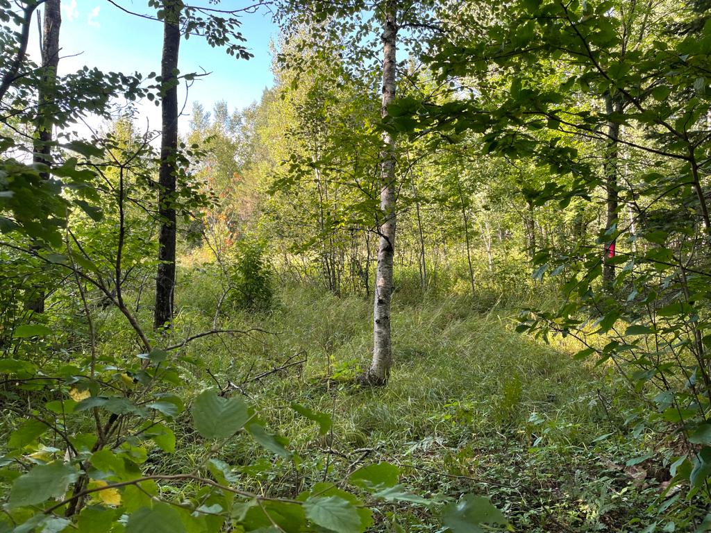 On Strong Road, Unit LOT #10 Phelps, WI 54554 - Photo 13 of 24 Gallery Image 13