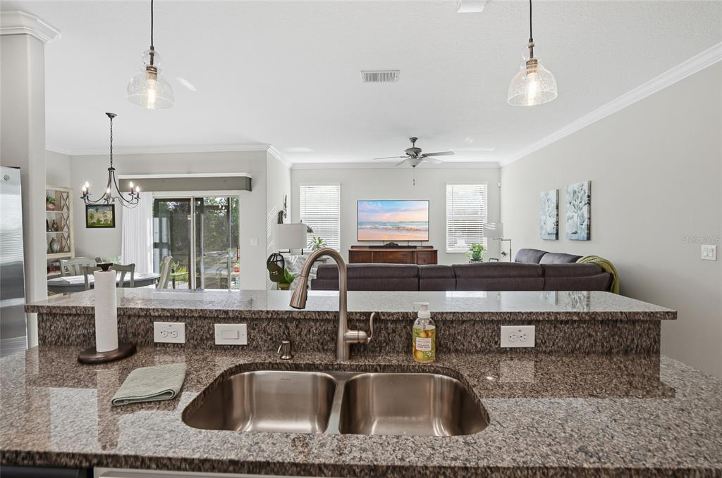 1370 White Fox Run Lutz, FL 33549 - Photo 12 of 49 a kitchen with kitchen island granite countertop a sink a counter top space appliances and cabinets