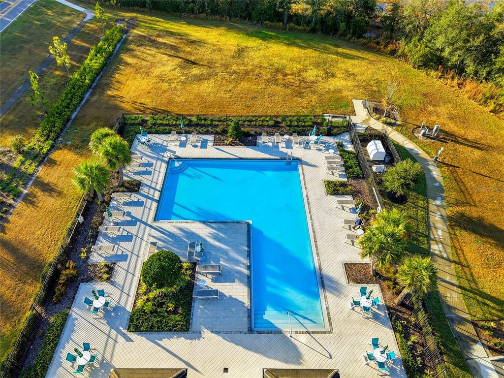 1370 White Fox Run Lutz, FL 33549 - Photo 48 of 49 a view of a swimming pool with a lawn chairs under an umbrella