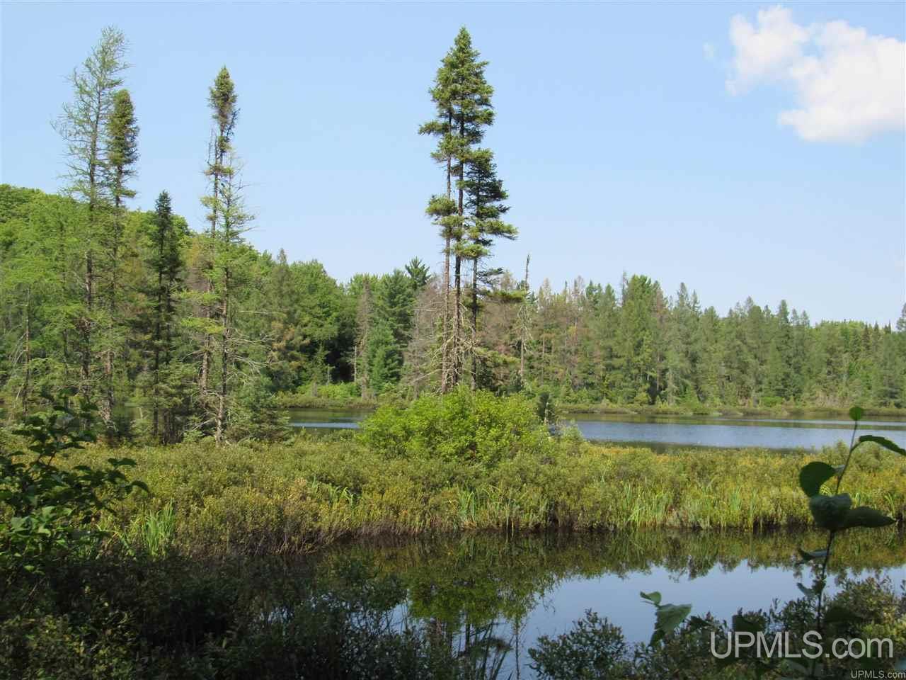 Tbd Berry Road Michigamme, MI 49861 - Photo 8 of 17