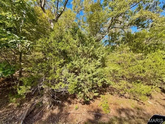 $6,000 | 2162 North Lake Sherwood Drive, Lake Sherwood, MO 63357