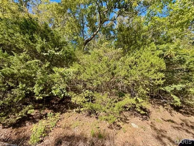 $6,000 | 2162 North Lake Sherwood Drive, Lake Sherwood, MO 63357