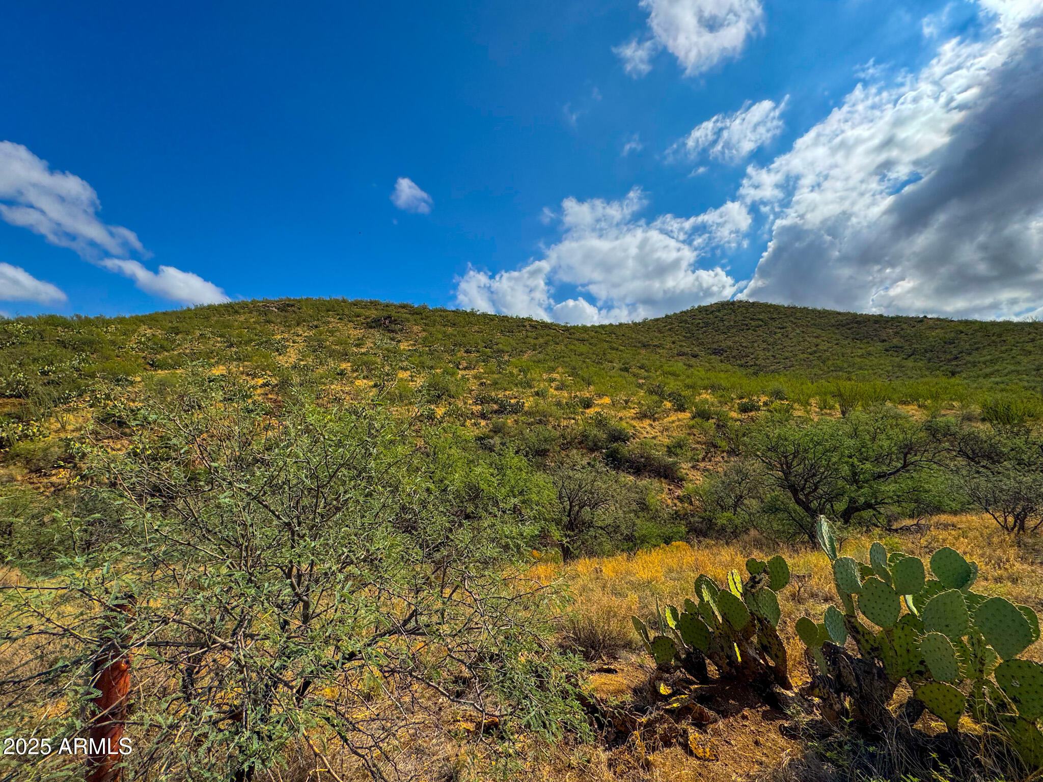 19795 South Attaway Place Vail, AZ 85641 - Photo 14 of 21 a view of an ocean