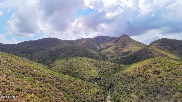 a view of a dry yard with mountains in the background