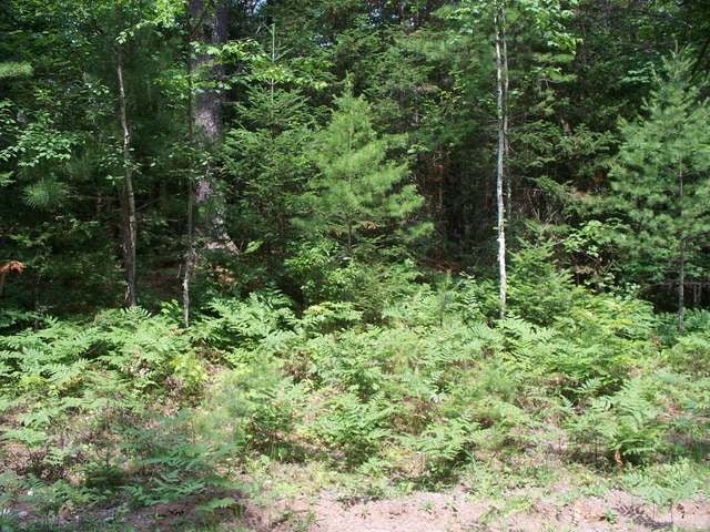 Lot 7 Moonshine Valley Road Presque Isle, WI 54557 - Photo 4 of 4 Gallery Image 4