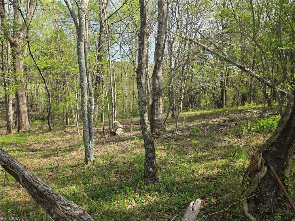 2729 Asbury Road Mount Airy, NC 27030 - Photo 35 of 36