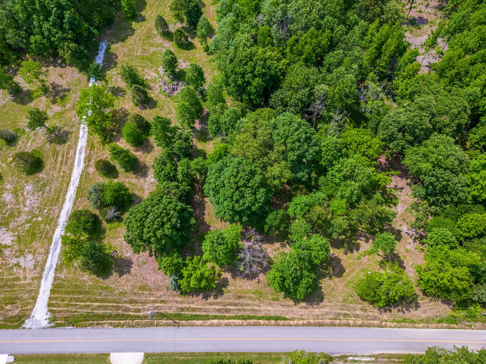 0 Promise Land Road Charlotte, TN 37036 - Photo 2 of 8 a view of a garden
