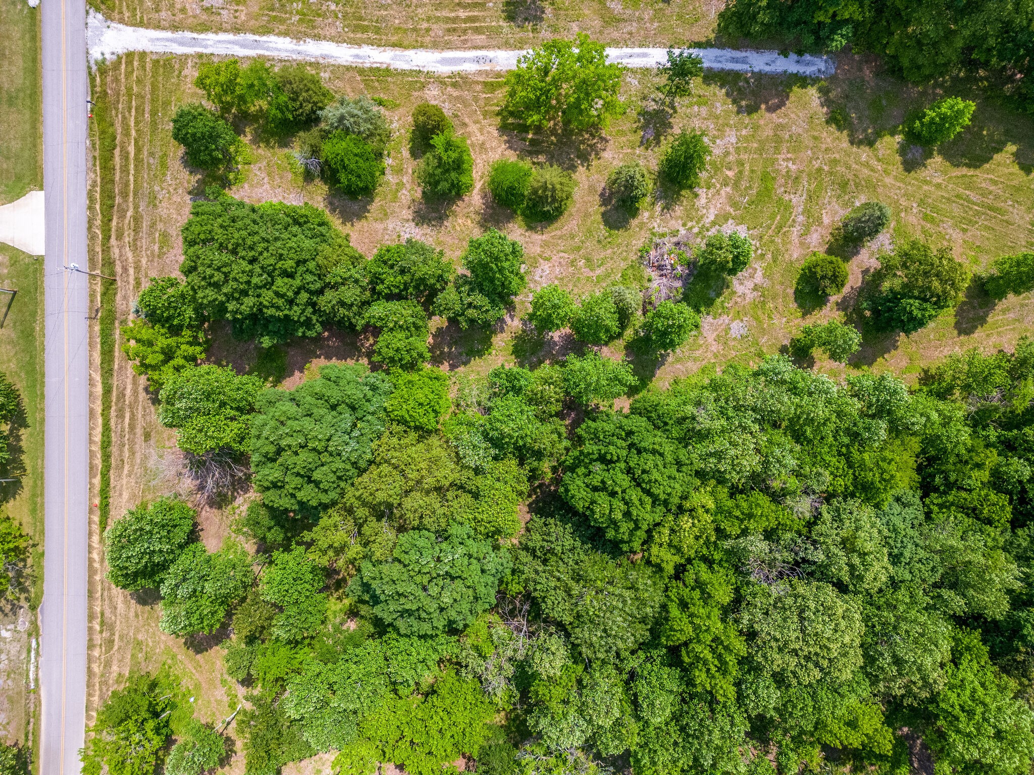 0 Promise Land Road Charlotte, TN 37036 - Photo 5 of 8 a view of a garden