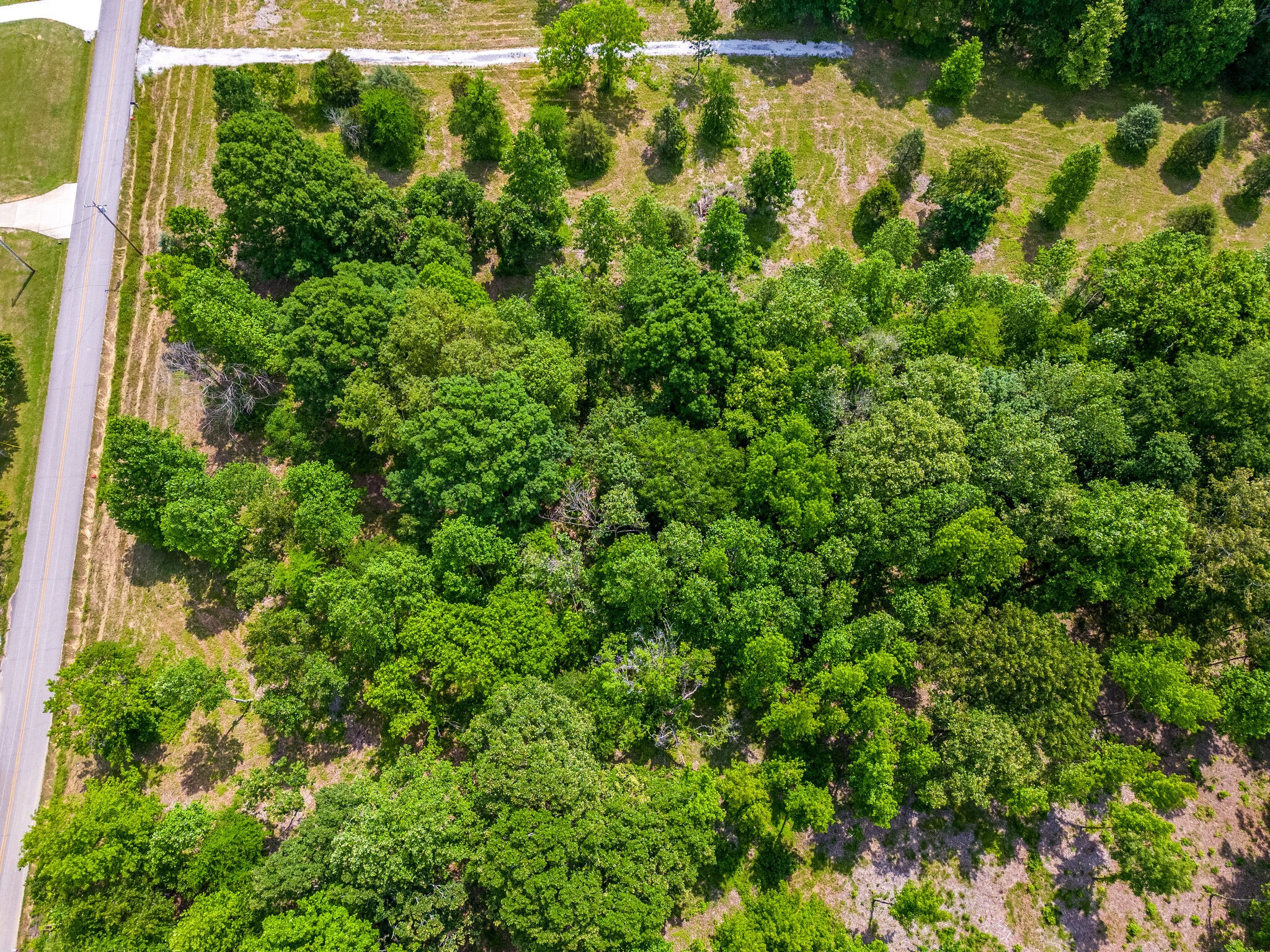 0 Promise Land Road Charlotte, TN 37036 - Photo 7 of 8 a view of a garden