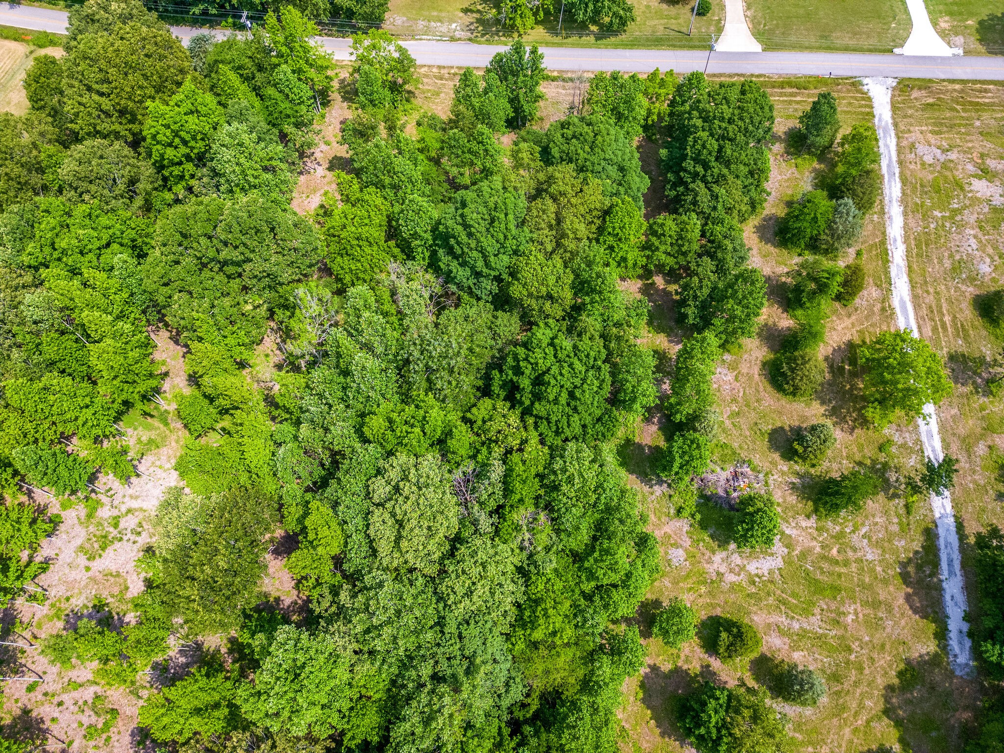 0 Promise Land Road Charlotte, TN 37036 - Photo 8 of 8 a view of a garden