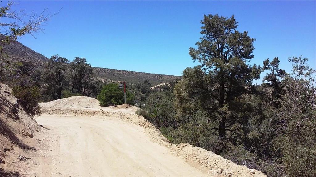 0 Desert Front Road Pinon Hills, CA 92372 - Photo 2 of 3 a view of a backyard of a house