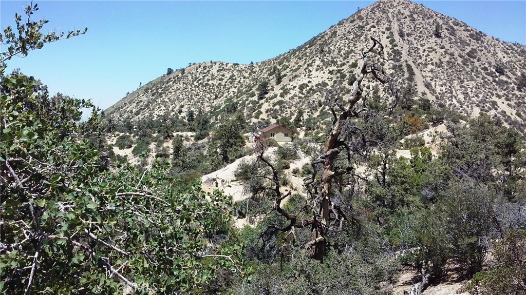 0 Desert Front Road Pinon Hills, CA 92372 - Photo 3 of 3 a view of a large tree