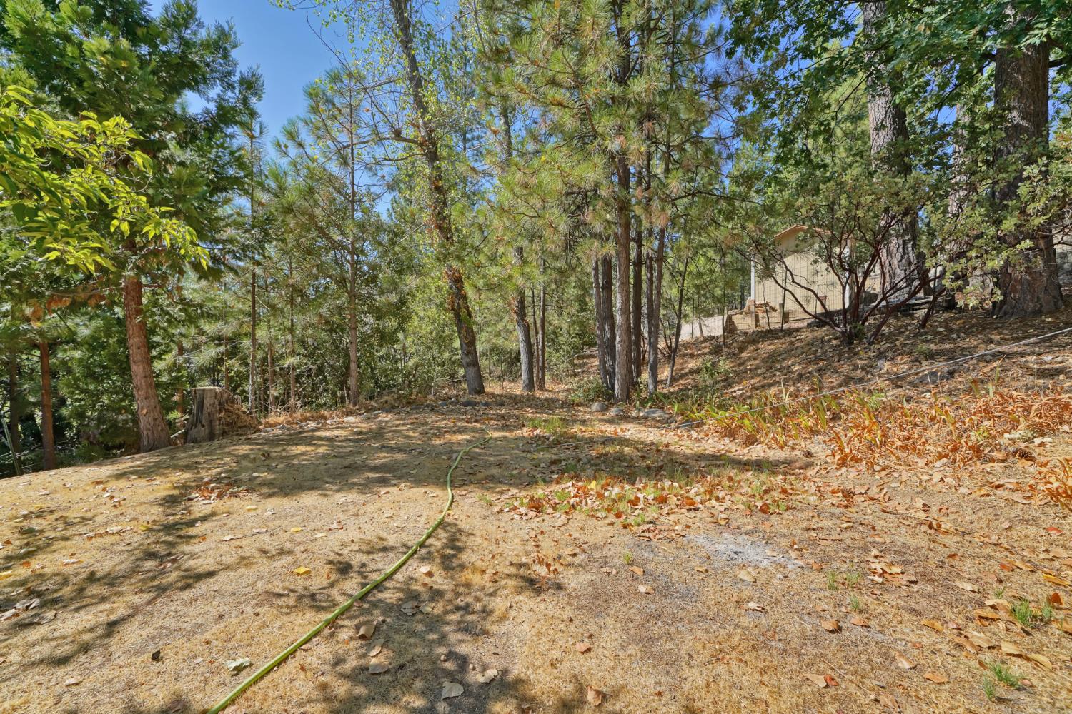 6426 Sly Park Road Placerville, CA 95667 - Photo 32 of 32 a view of a yard with trees