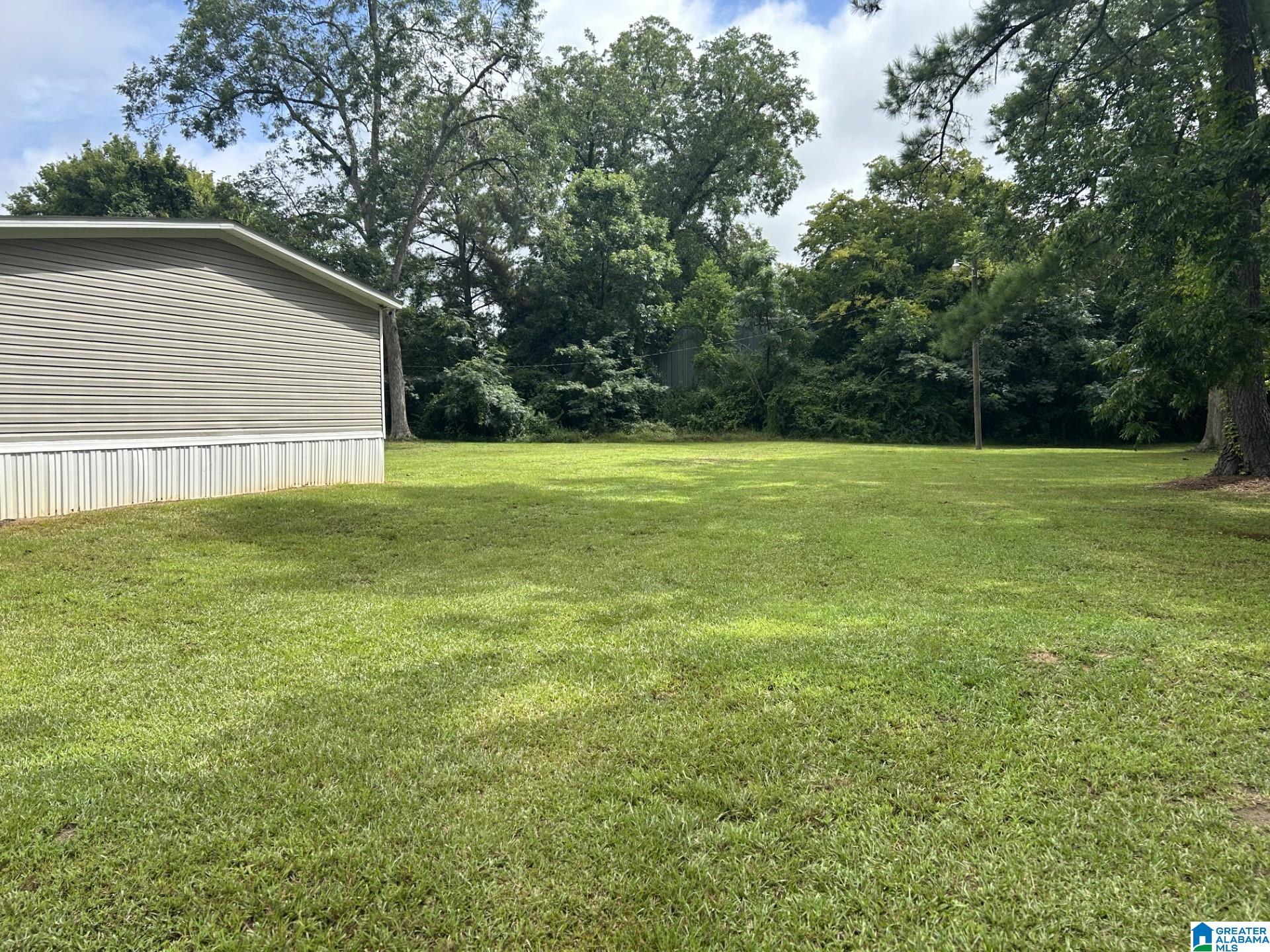 107 South Autauga Street Autaugaville, AL 36003 - Photo 5 of 31