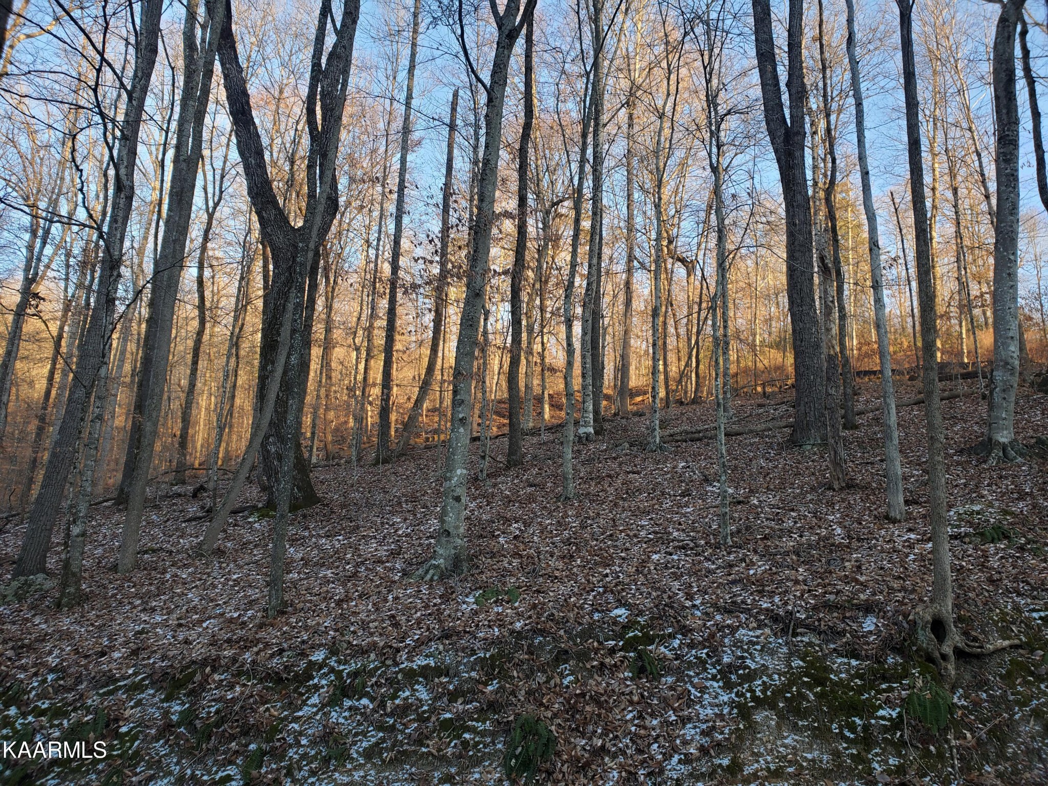 32 Hickory Star Road Maynardville, TN 37807 - Photo 4 of 7 Gallery Image 4