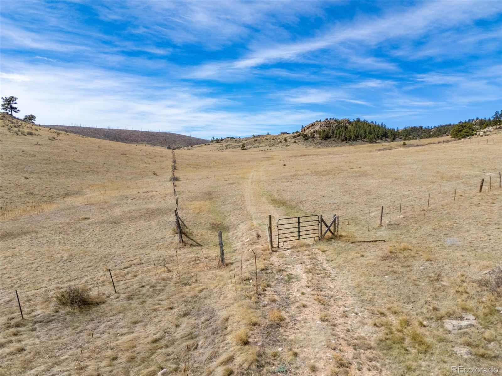 11881 West County Road Livermore, CO 80536 - Photo 39 of 48