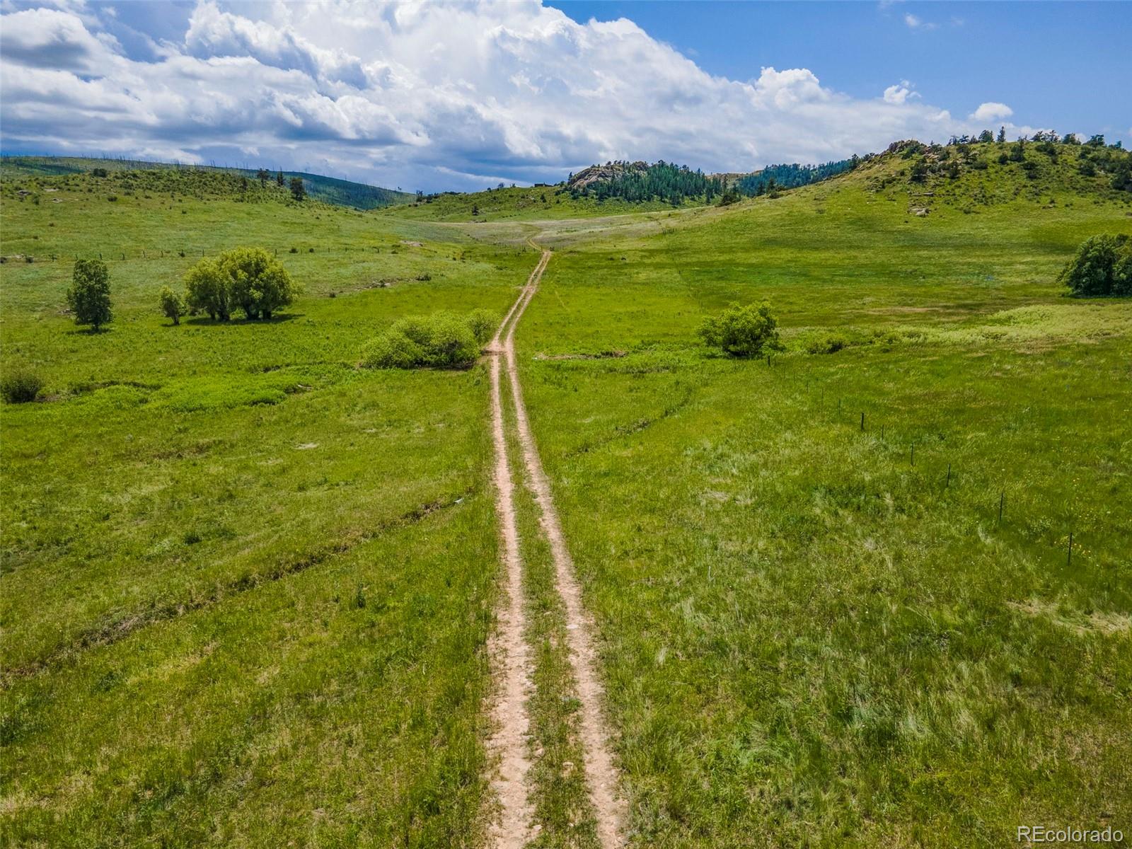 11881 West County Road Livermore, CO 80536 - Photo 42 of 48