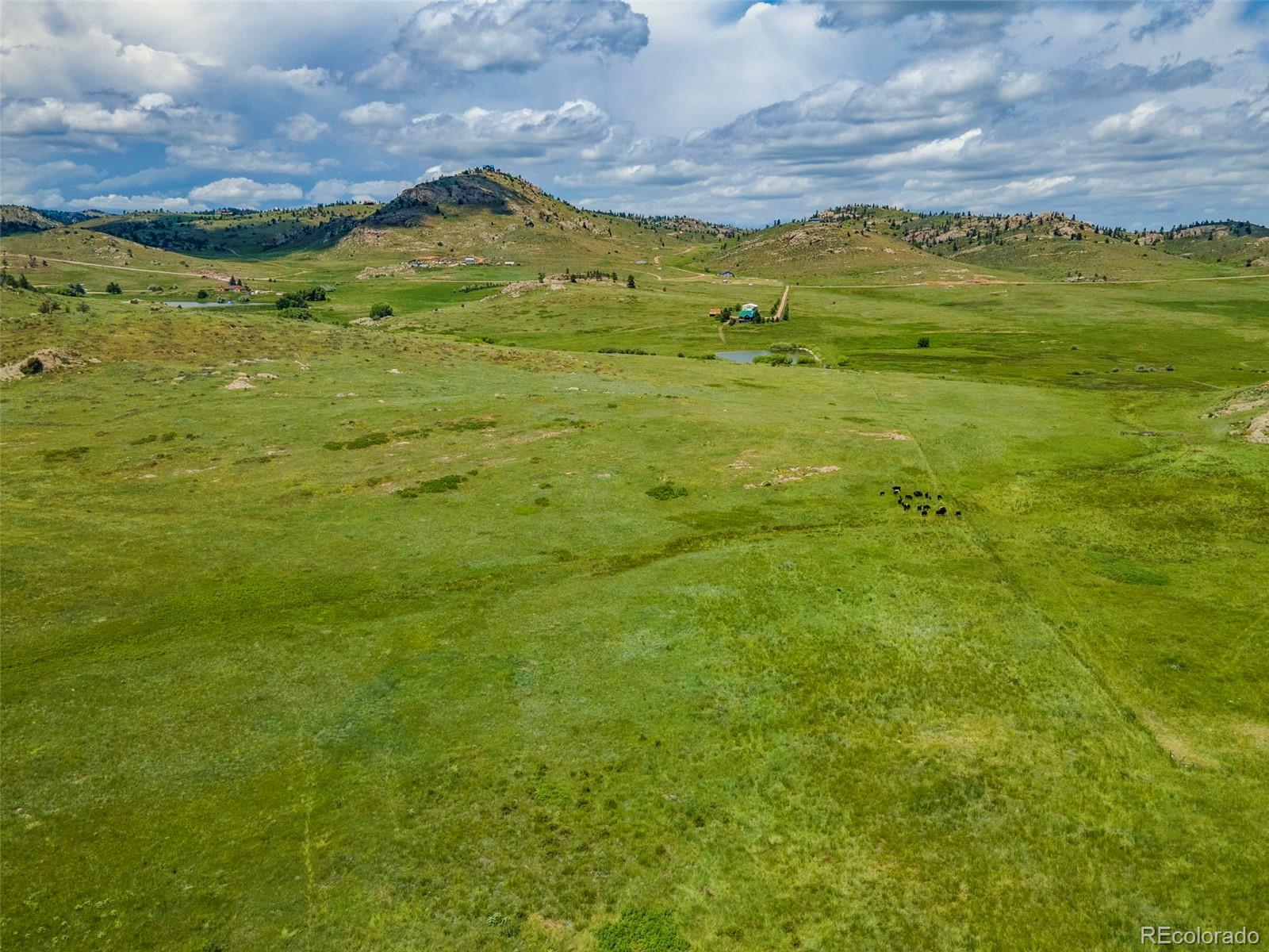 11881 West County Road Livermore, CO 80536 - Photo 45 of 48
