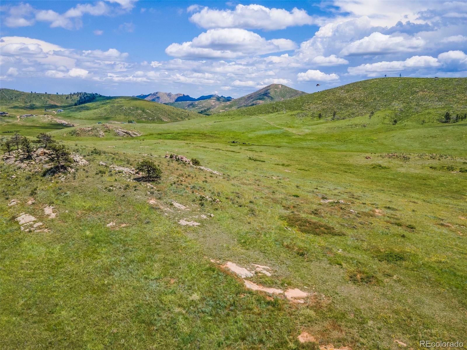 11881 West County Road Livermore, CO 80536 - Photo 48 of 48