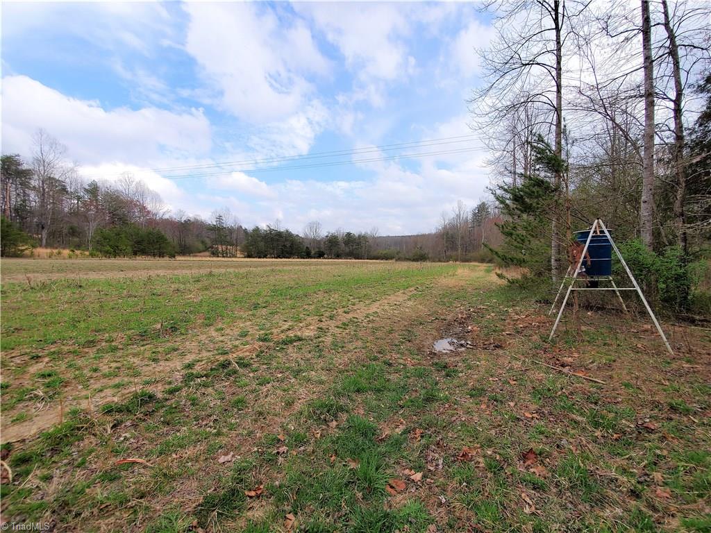 231 Gusty Road Mount Airy, NC 27030 - Photo 24 of 30 Gallery Image 24