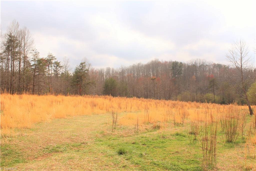 231 Gusty Road Mount Airy, NC 27030 - Photo 28 of 30 Gallery Image 28