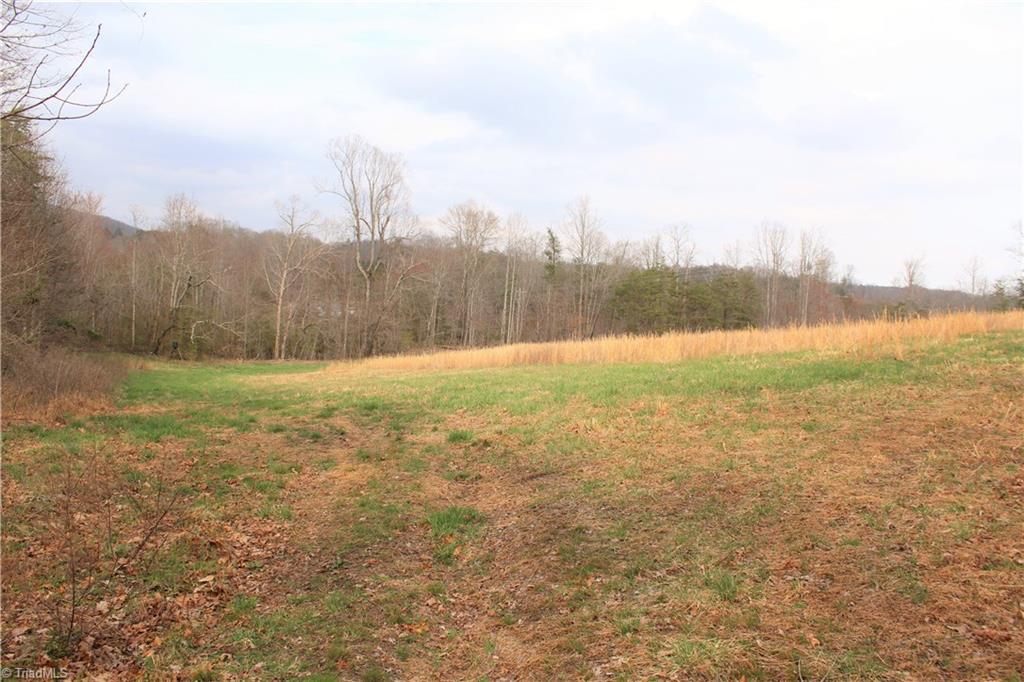 231 Gusty Road Mount Airy, NC 27030 - Photo 29 of 30 Gallery Image 29