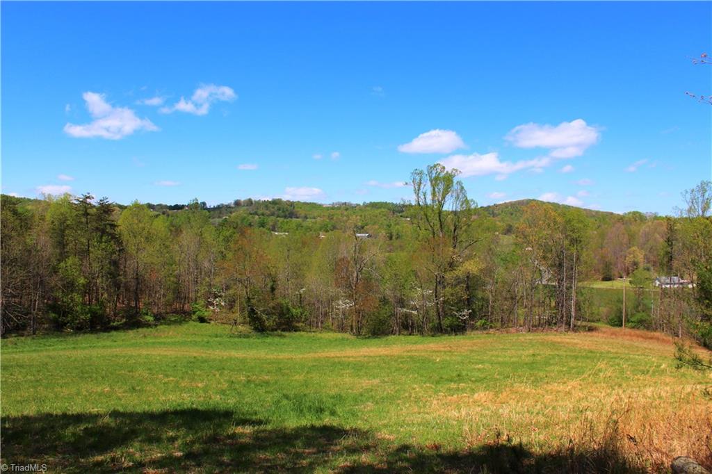 231 Gusty Road Mount Airy, NC 27030 - Photo 5 of 30 Gallery Image 5