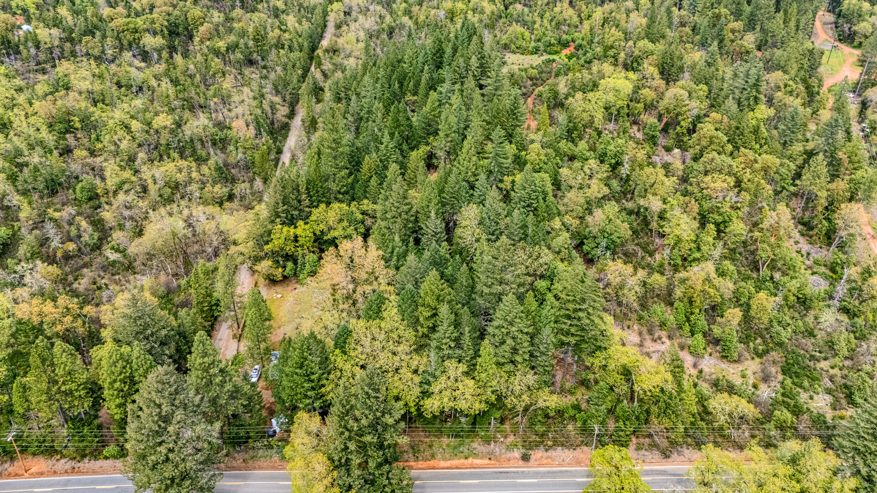 323 Valley Heights Road Selma, OR 97538 - Photo 6 of 11