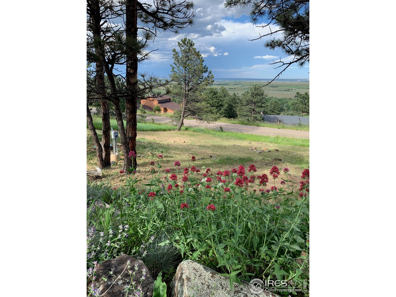 9042 Thunderhead Drive Boulder, CO 80302 - Photo 35 of 40 a view of a tree in front of a building