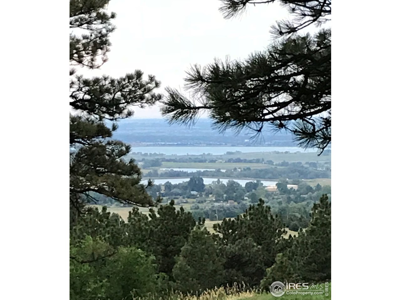 9042 Thunderhead Drive Boulder, CO 80302 - Photo 38 of 40 a view of a tree in a yard