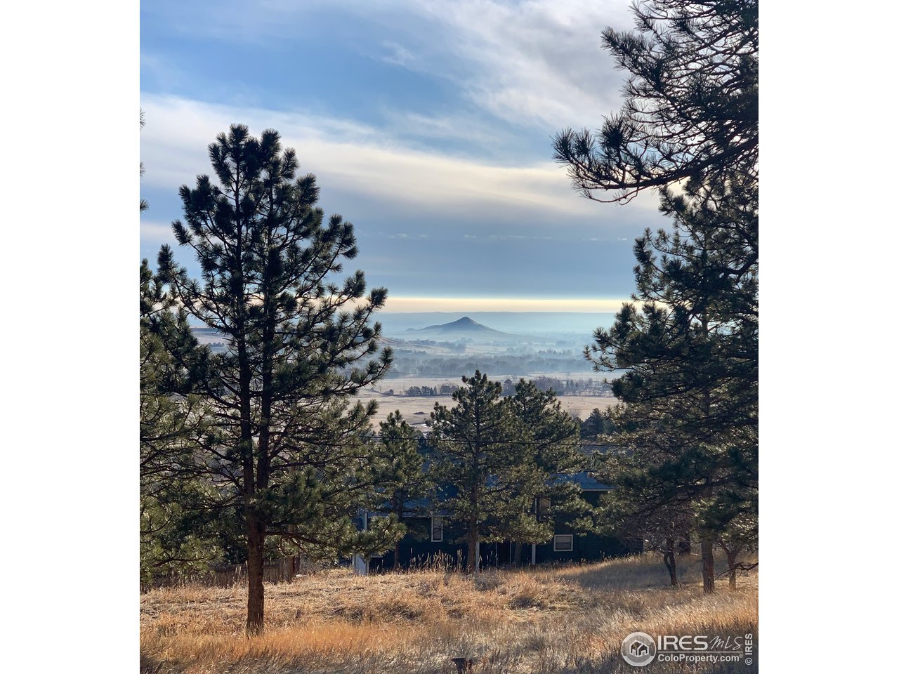 9042 Thunderhead Drive Boulder, CO 80302 - Photo 39 of 40 a picture of a tree in front of a house