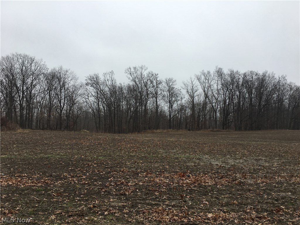 4597 Foote Road Medina, OH 44256 - Photo 21 of 21 Gallery Image 21