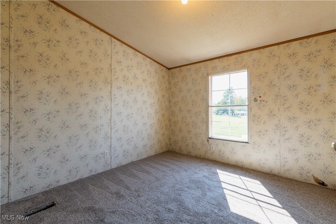 73550 Old Twenty One Road Kimbolton, OH 43749 - Photo 22 of 35 Unfurnished room featuring a textured ceiling, lofted ceiling, crown molding, and carpet flooring