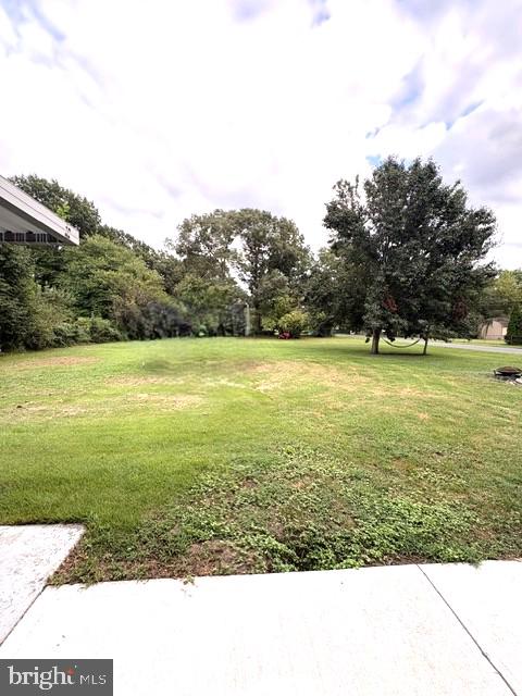 Rear Yard