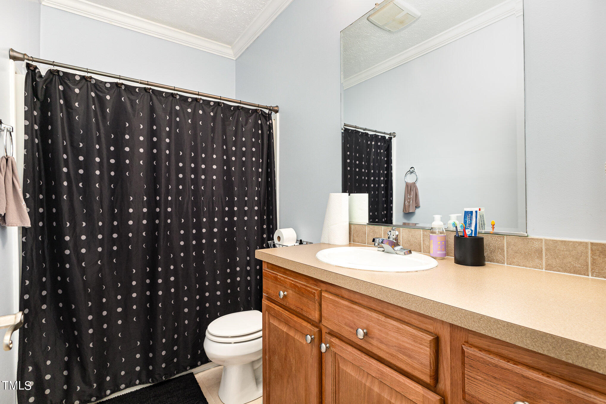 104 Dove Road Creedmoor, NC 27522 - Photo 10 of 25 a bathroom with a sink a toilet and a mirror