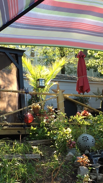 159 Jenness Street Lynn, MA 01904 - Photo 25 of 36 a bunch of flowers are in a garden