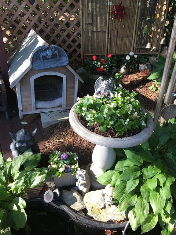 159 Jenness Street Lynn, MA 01904 - Photo 27 of 36 a bunch of flowers in a garden