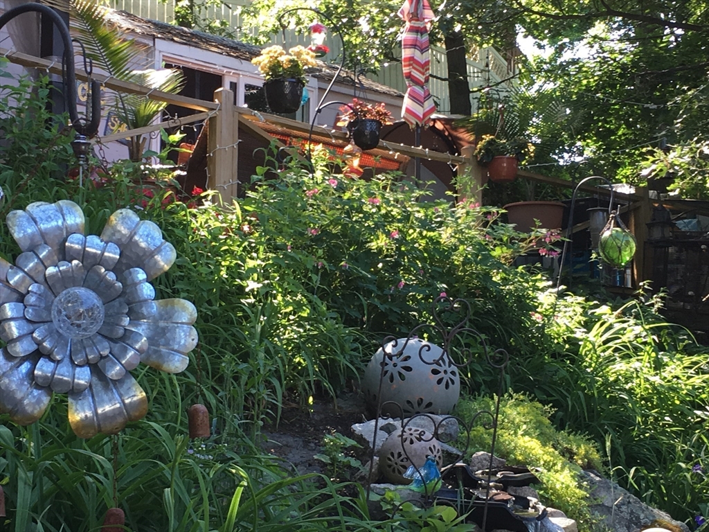 159 Jenness Street Lynn, MA 01904 - Photo 29 of 36 a picture of flowers