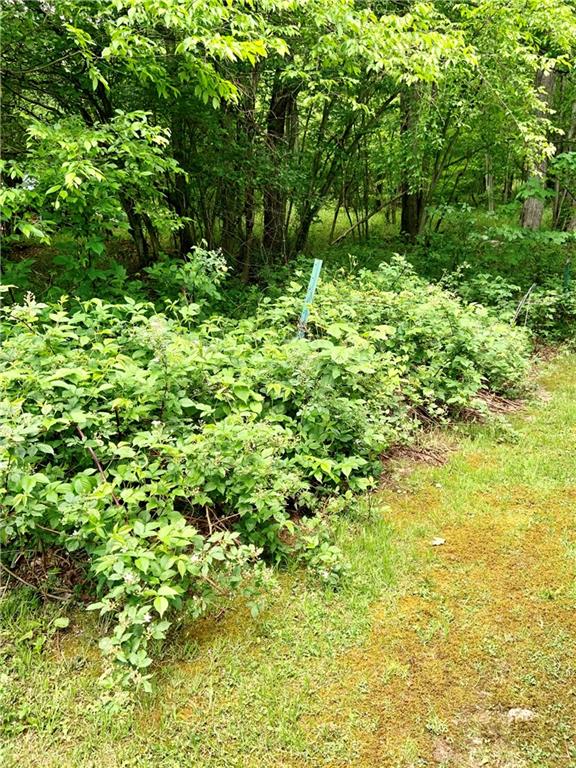 700 Ketner Road Wilcox, PA 15870 - Photo 21 of 21 Gallery Image 21