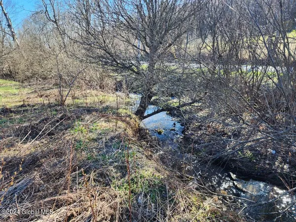 $50,000 | L5 Lang Rd Summit, Summit, NY 12175