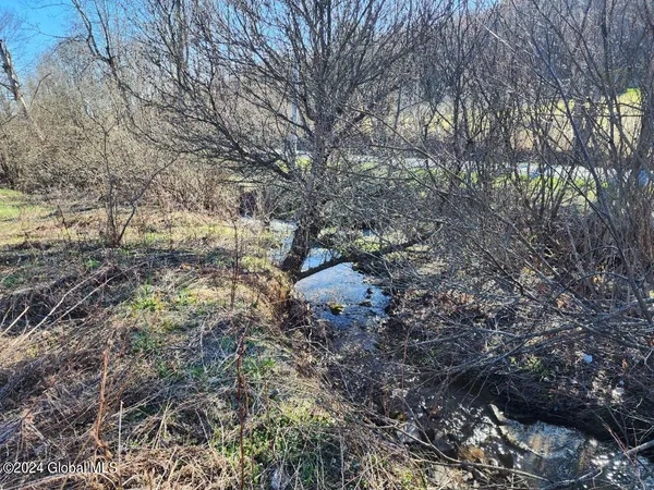 $50,000 | L5 Lang Rd Summit, Summit, NY 12175