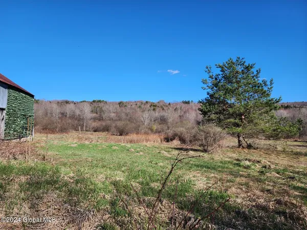 $50,000 | L5 Lang Rd Summit, Summit, NY 12175