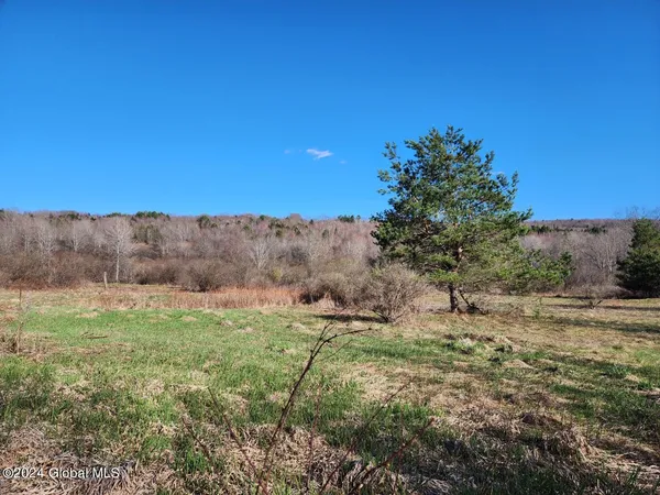 $50,000 | L5 Lang Rd Summit, Summit, NY 12175