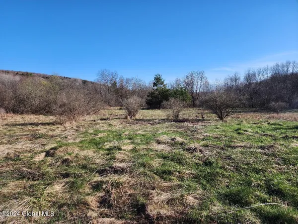 $50,000 | L5 Lang Rd Summit, Summit, NY 12175