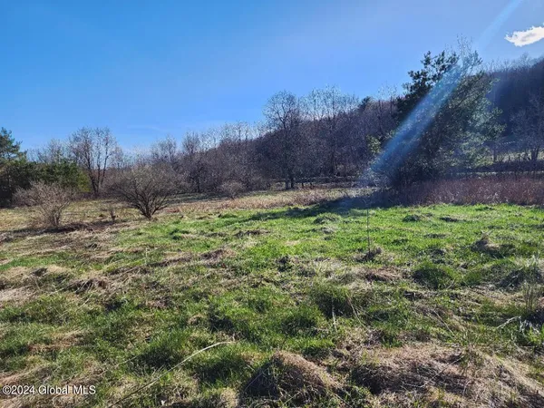 $50,000 | L5 Lang Rd Summit, Summit, NY 12175