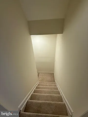 a view of a yard with plants and trees